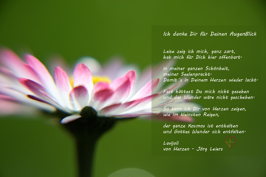 Lavijoli - Poesie - Danke für Deinen Augenblick
