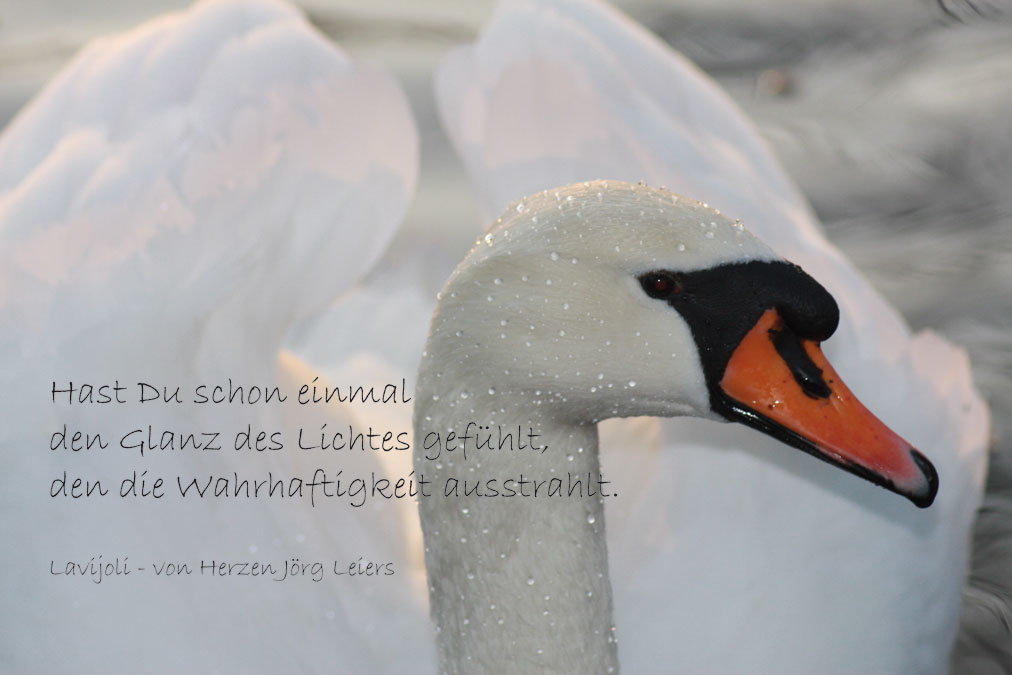 Jörg W. Leiers -- Lavijoli - Poesie - Glanz Licht Wahrheit