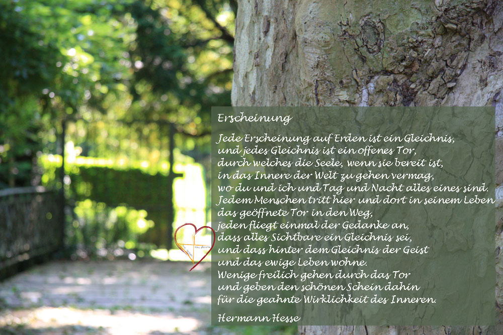 Lavijoli - Poesie - Erscheinung - Herrmann Hesse
