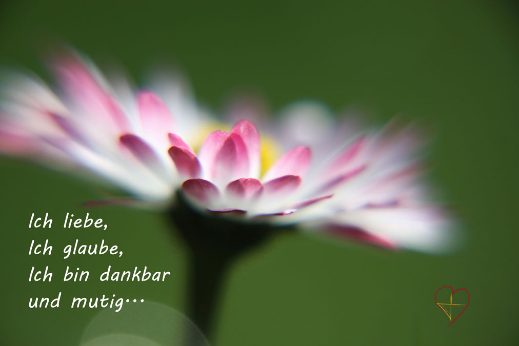 Lavijoli - Poesie - Ich liebe - ich glaube 