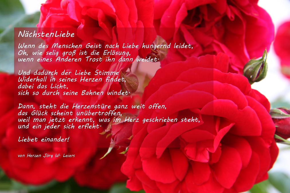 Lavijoli Poesie - Liebe säen