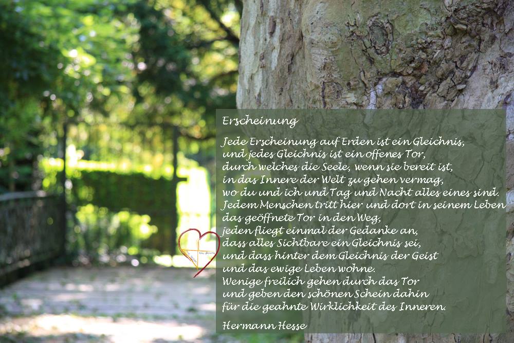 lavijoli_sei_mutig_und_geh_durch_das_offene_tor